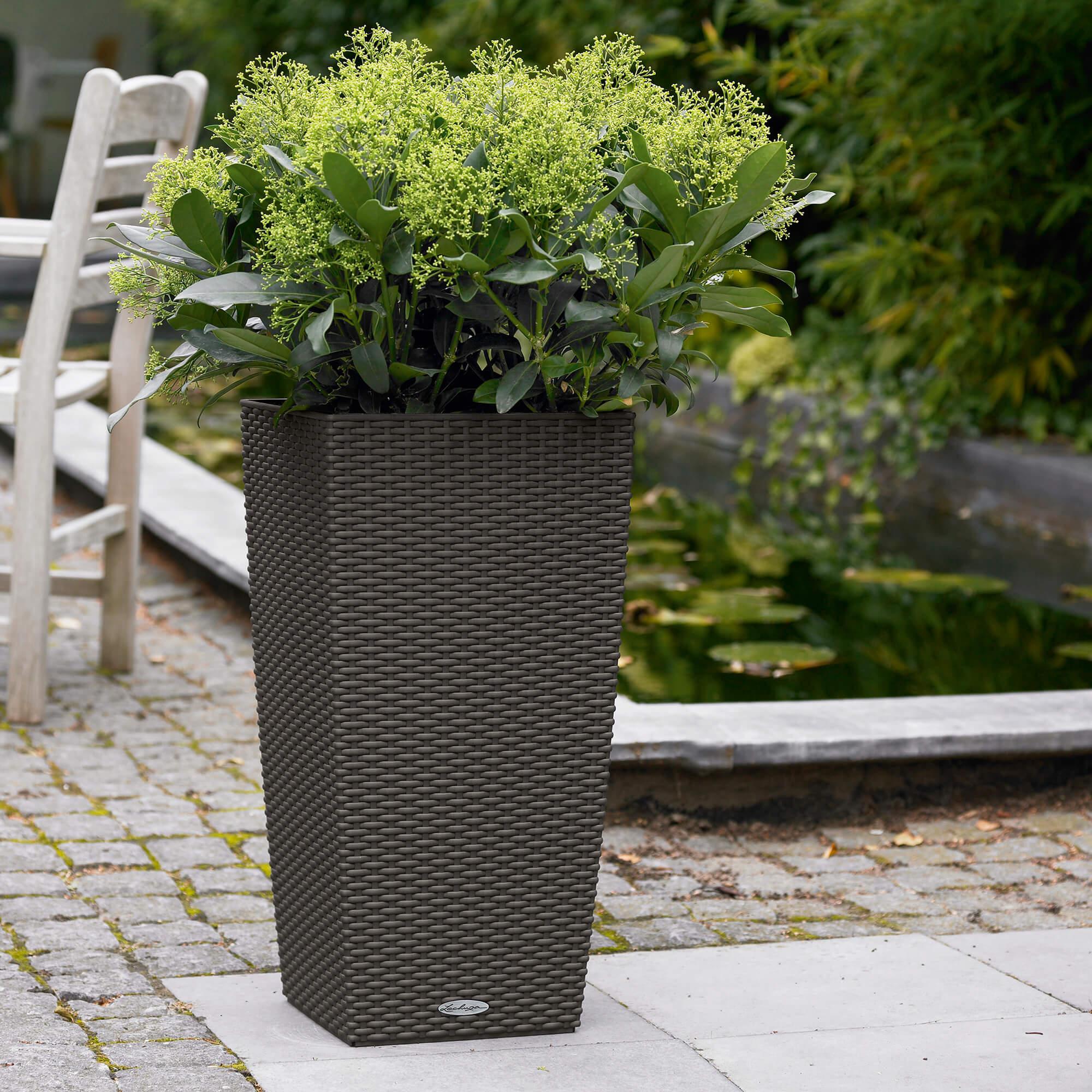 le_cubico-cottage30_product_addi_01
